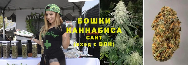 твердый Абаза