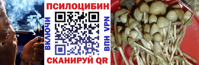 магазин продажи   Усмань  это телеграм  Галлюциногенные грибы Psilocybe 