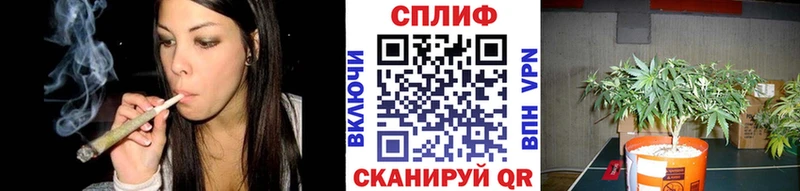 наркота  Усмань  Бошки марихуана семена 